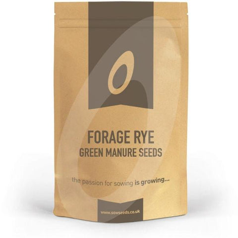 Forage Rye (Hungarian Grazing) Green Manure Seeds