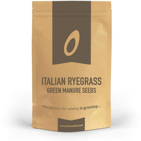 italian ryegrass green manure